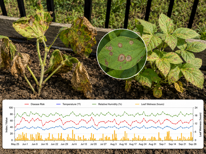 How to Create Weather-Based Predictors for Plant Disease Modeling in R